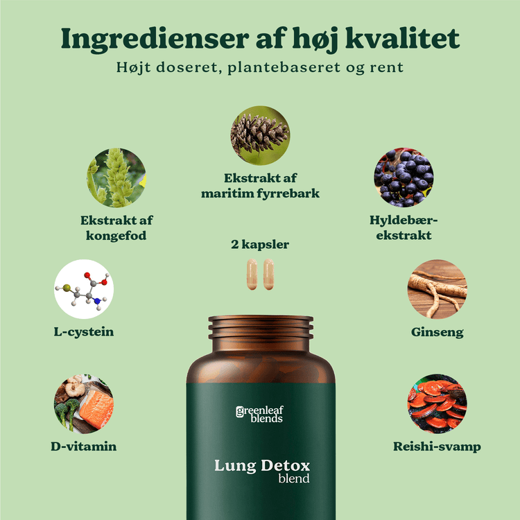 Lung Detox blend
