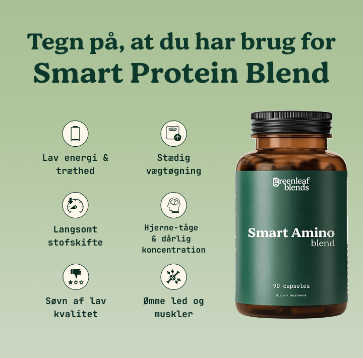 Smart Amino Blend